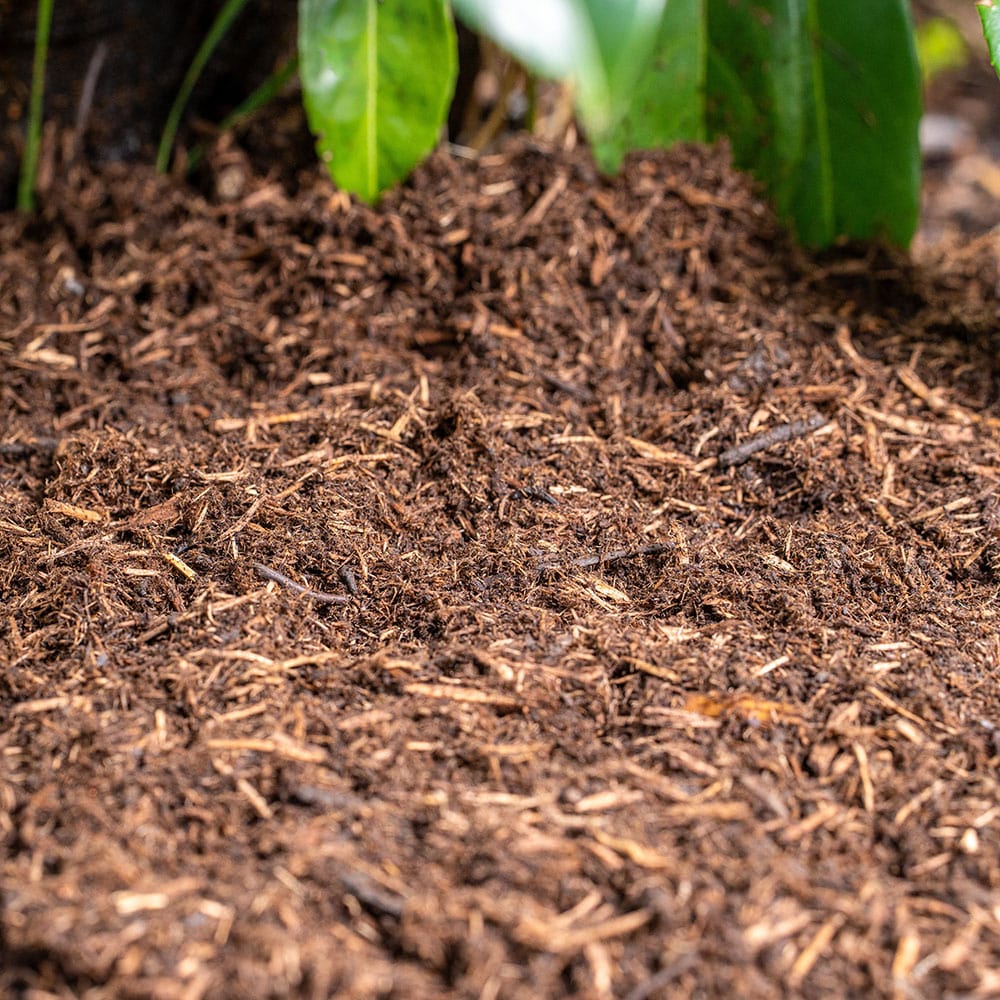 Gartenfaser