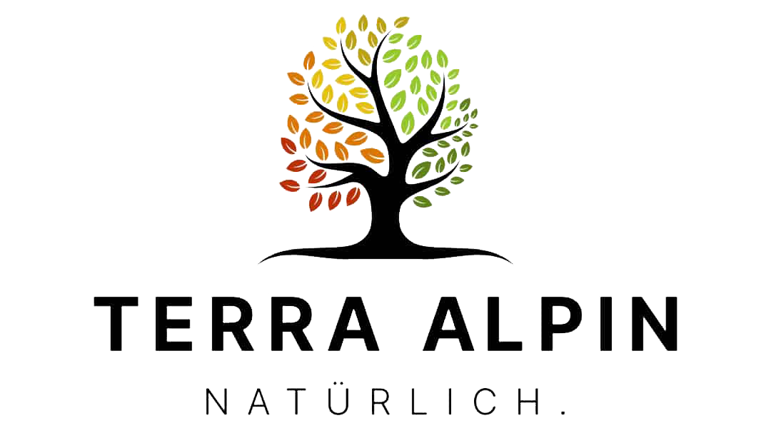 Zur Startseite gehen
